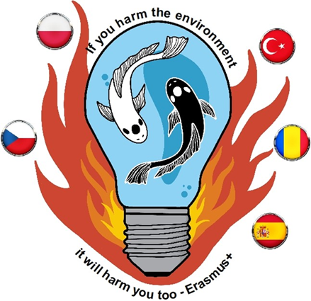 erasmus_1.png